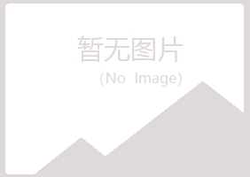 赤峰红山紫山工程有限公司